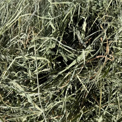 Foin_lacharmantebassecour