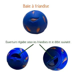 ballefriandisesrongeurs_ballerongeurs_ballefriandises_lacharmantebassecour