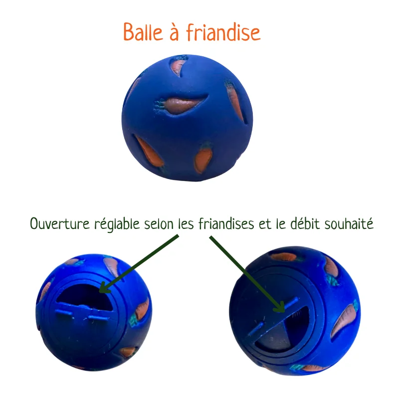ballefriandisesrongeurs_ballerongeurs_ballefriandises_lacharmantebassecour