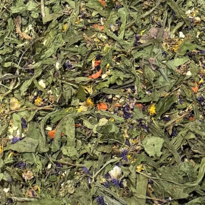 plantes_lacharmantebassecour