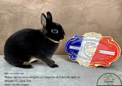 2022-meilleur-nain-toutes-categories-epinal-nationale-FFC