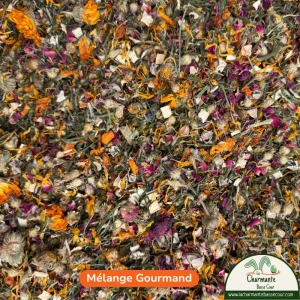Mélange Gourmand pour lapin – vue d’ensemble du mélange naturel