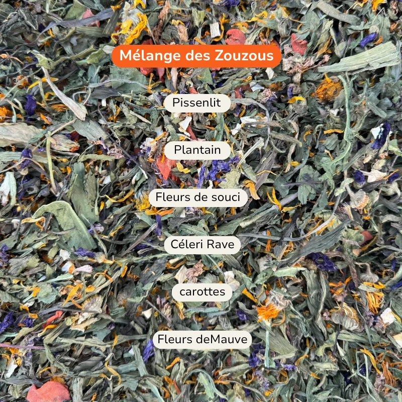 Composition du Mélange des Zouzous : pissenlit, plantain, souci, mauve, céleri-rave et carotte