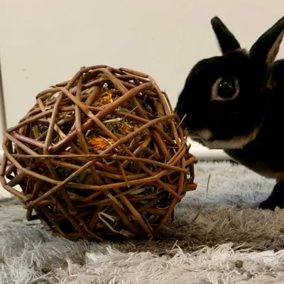 jouets_lacharmantebassecour