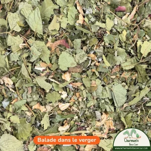 Balade dans le verger, mélange de feuilles et de fruits pour lapin