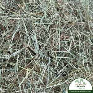 Foin_lapin_circuitcourt