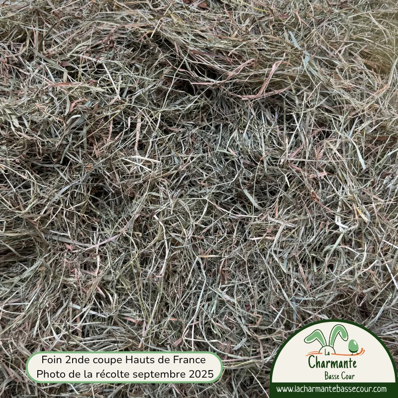 Foin de prairie 2nde coupe pour lapin, souple et feuillu