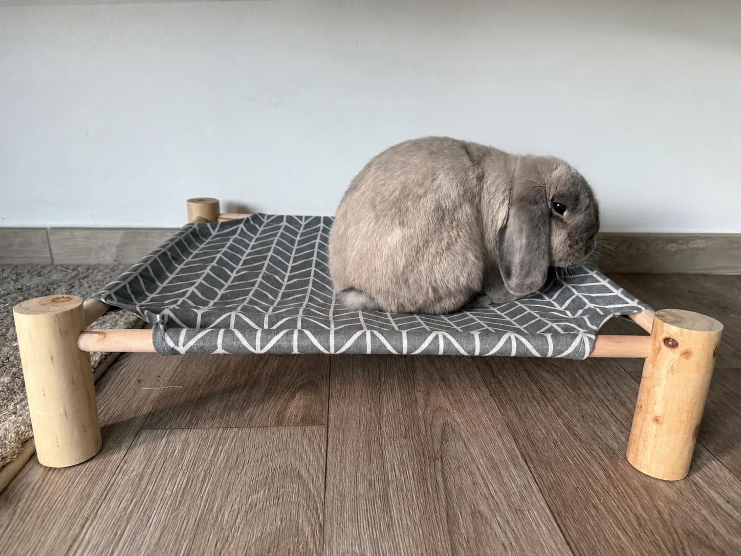 Hamac pour lapins