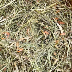 Foin_carotte_panais_circuit_court_lapin