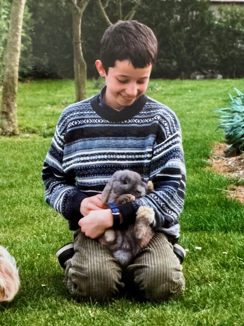 Justine_lacharmantebassecour