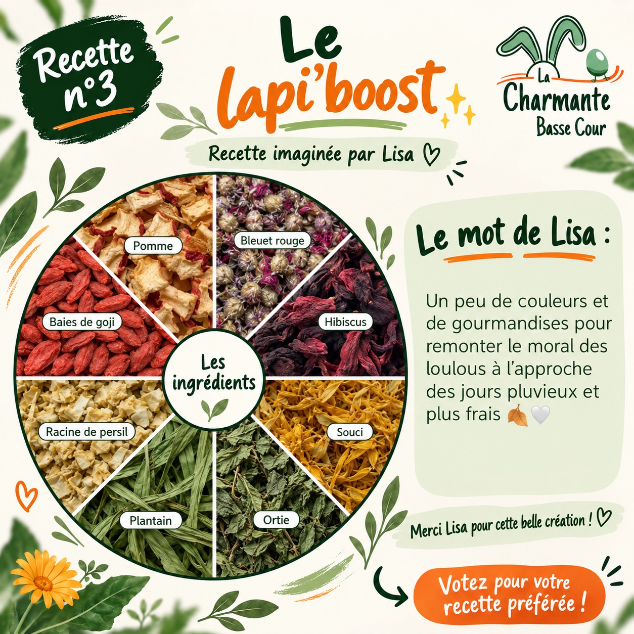 Image du jeu concours pour le lapi'boost