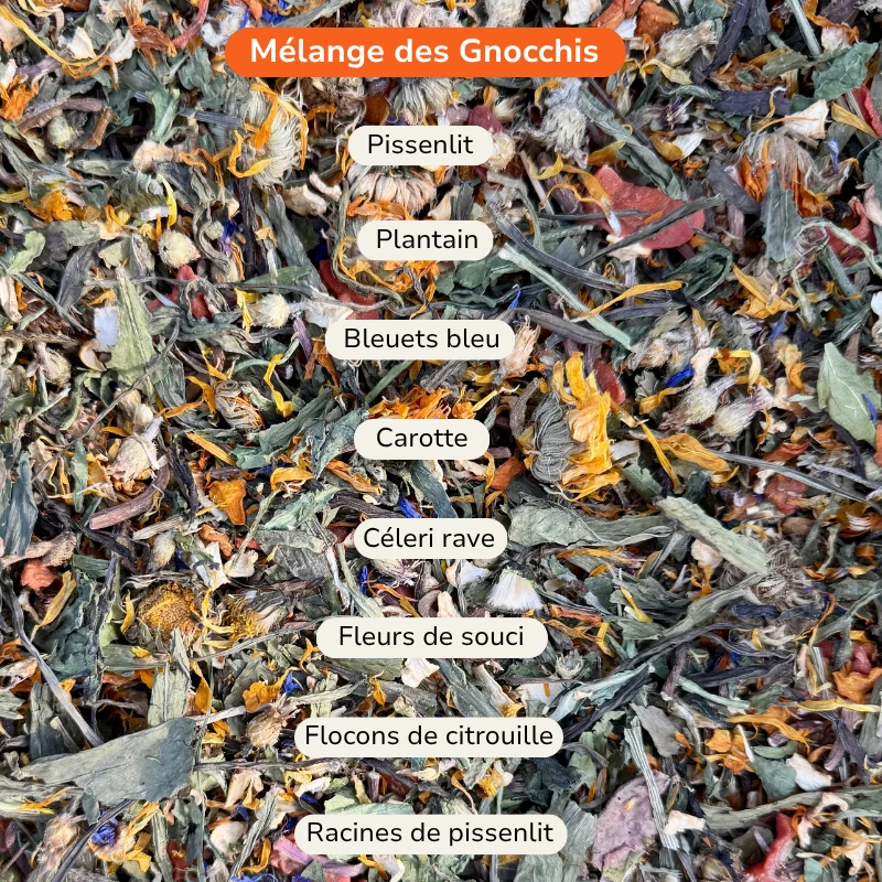 Composition du mélange des Gnocchis : Pissenlit, plantain, bleuets bleu, carotte, céleri rave, fleurs de souci, flocons de citrouille, racines de pissenlit
