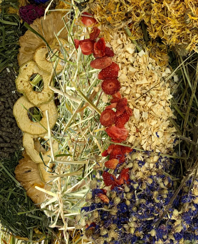 melange_vegetaux_lapin