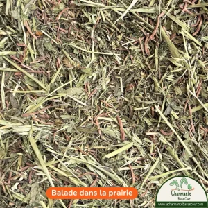 Balade dans la prairie, mélange de plantes pour lapin