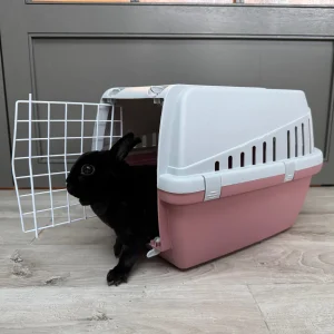 caissetransportlapin