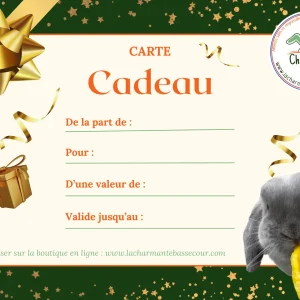 carte-cadeau-lapin-recto