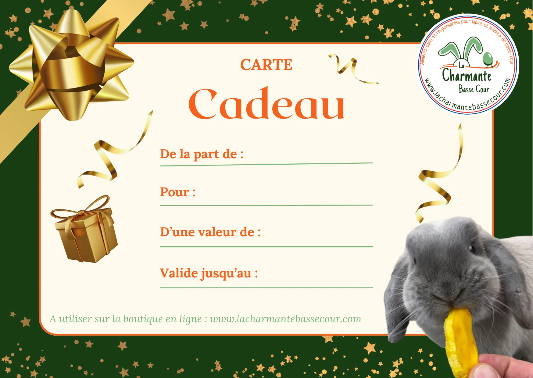 carte-cadeau-lapin-recto