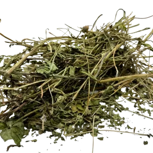 echinacee-tige-feuilles-lapin-lacharmantbassecour