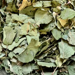 alimentation_lapin_feuilles_de_pommier