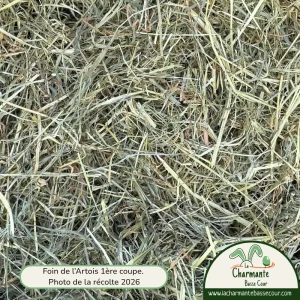 Un foin idéal pour les lapins, des brins vert-bleu assez épais et une bonne odeur
