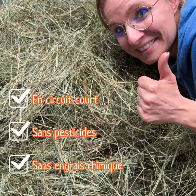 foin-cambraisis-lapin