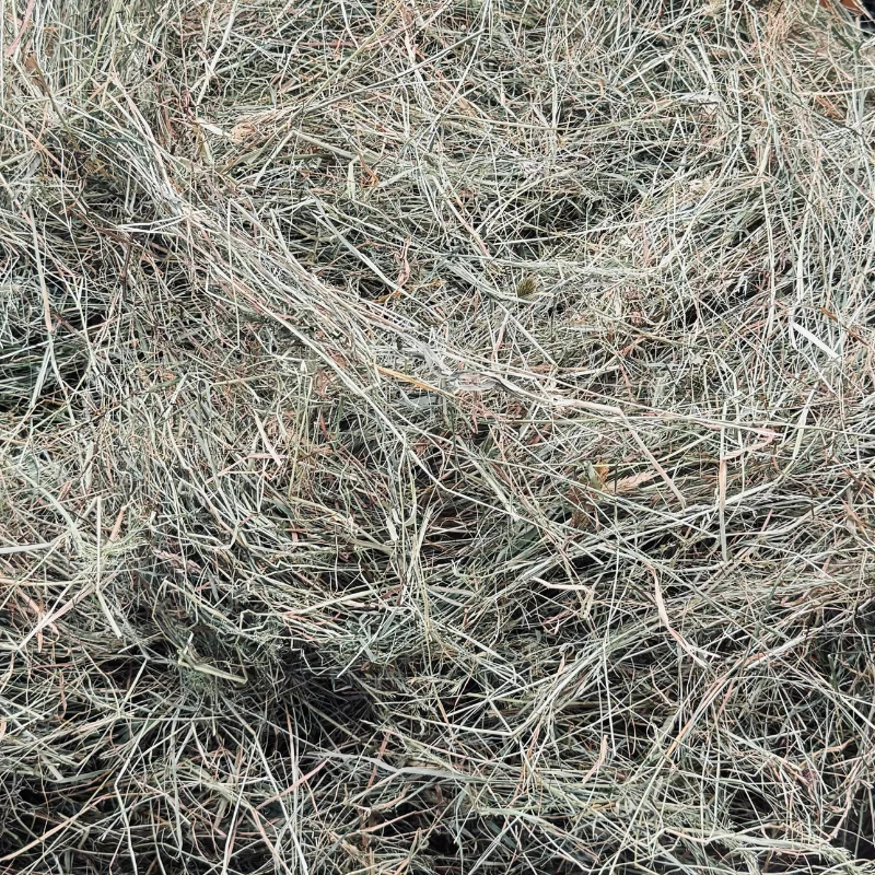 foin-lapin-sanstraitement