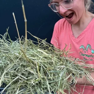 foin_bio_recolte_2025_lacharmantebassecour