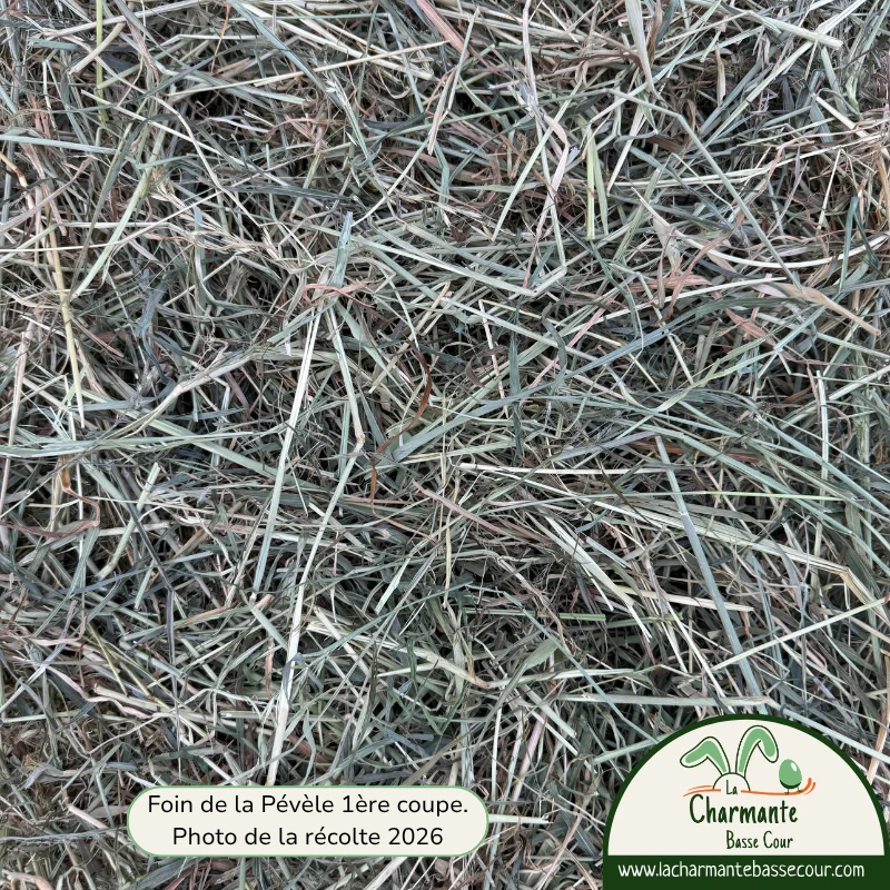 Foin de la Pévèle pour lapin, riche en graminées