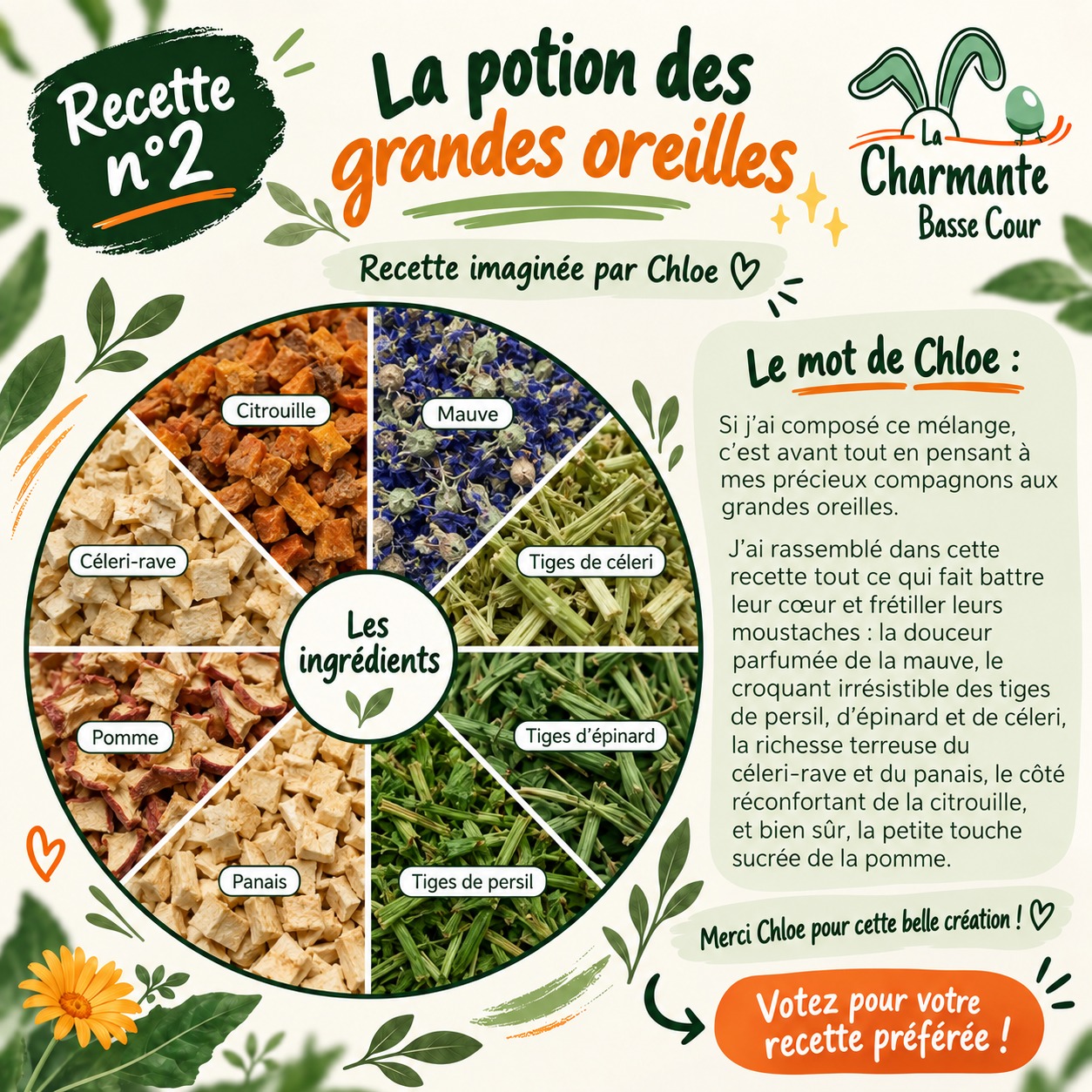 Image du jeu concours pour la potion des grandes oreilles