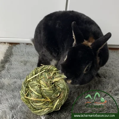 lapin-balle-herbe-foin-jouetlapin-lacharmantebassecour