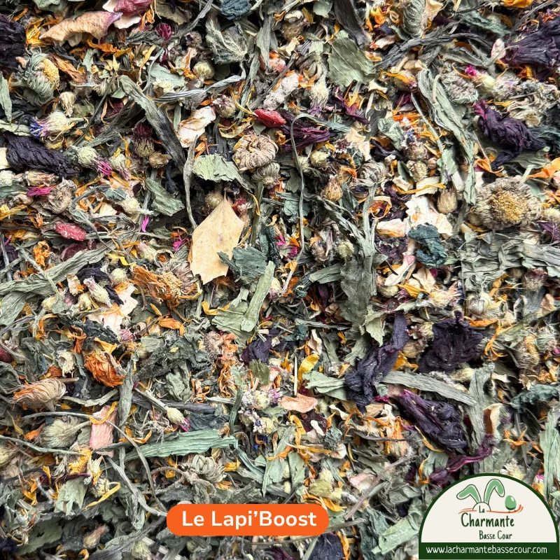 mélange pour lapins : le Lapi'boost