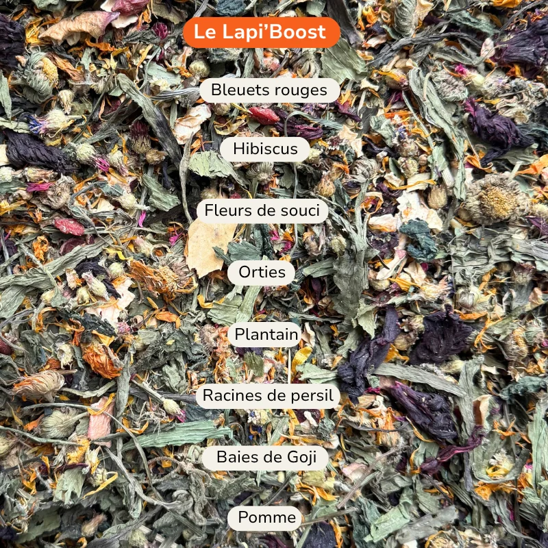 Bleuets rouge, Hibiscus, Fleurs de souci, orties, plantain, racines de pissenlit, baies de goji, pomme