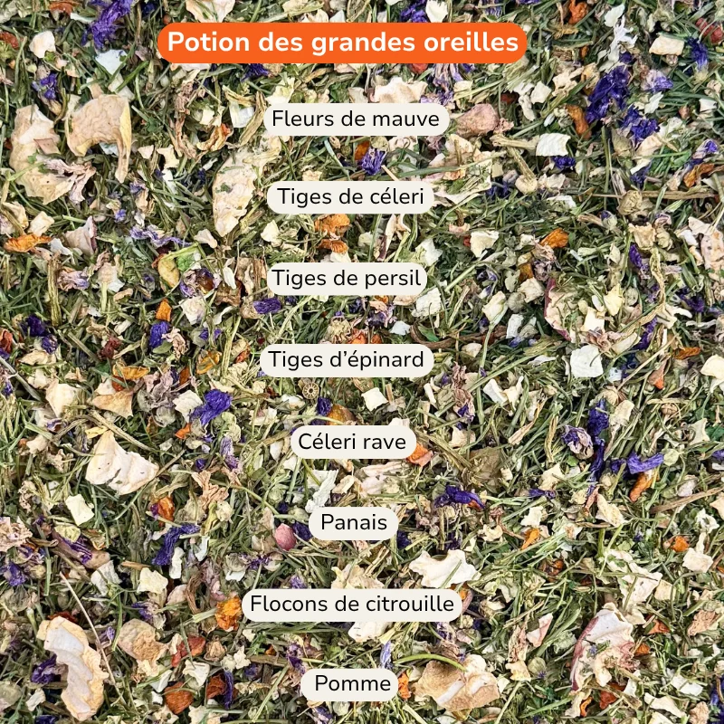 Composition de la potion des grandes oreilles