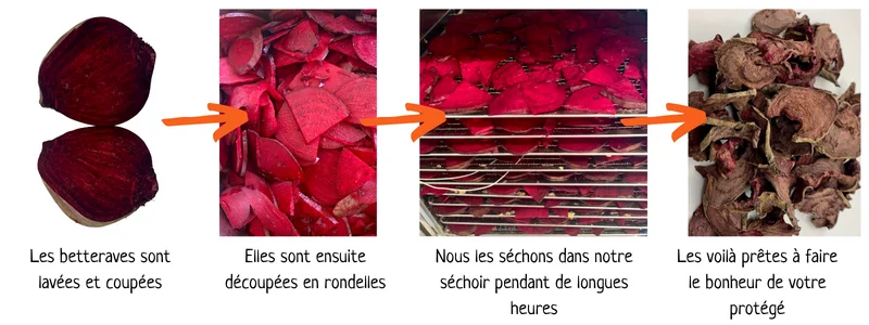 preparation-betteraves-sechees-lacharmantebassecour