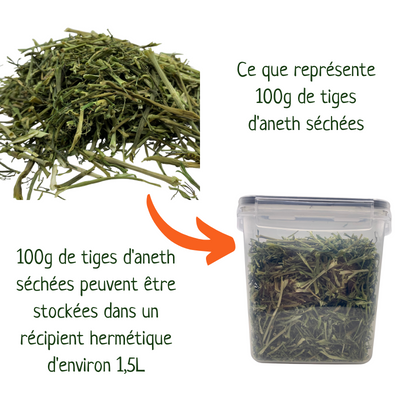 stokeranethsechee-anethlapin-friandiseslapins-lacharmantebassecour